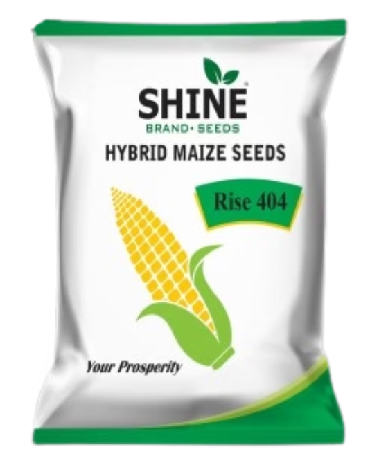 SHINE HYBRID MAIZE SEEDS RISE-404 SEEDS
