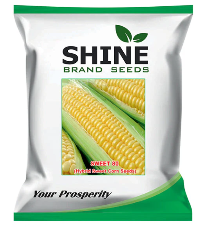 SHINE SWEET 80 SWEET CORN SEEDS