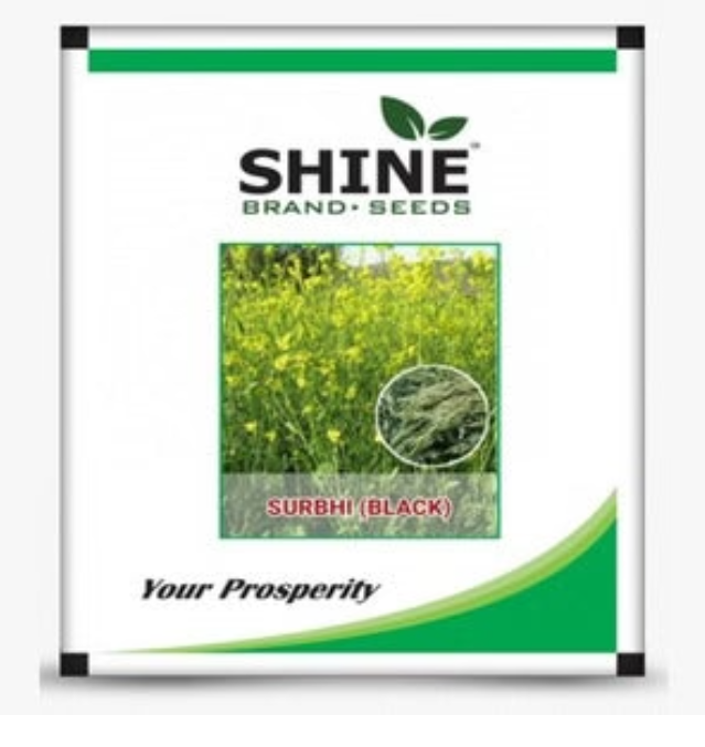 SURBHI BLACK MUSTARD SEEDS