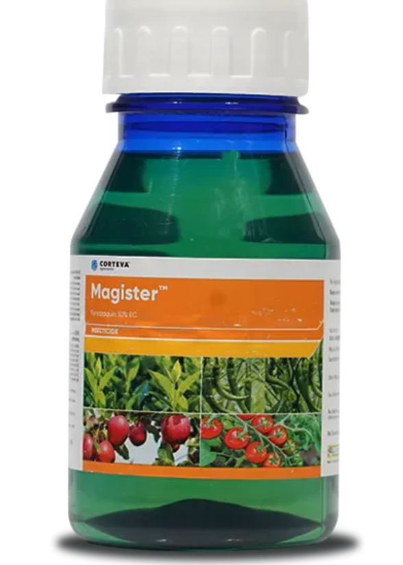 Magister Insecticide – Fenazaquin 10% EC for Powerful Mite Control