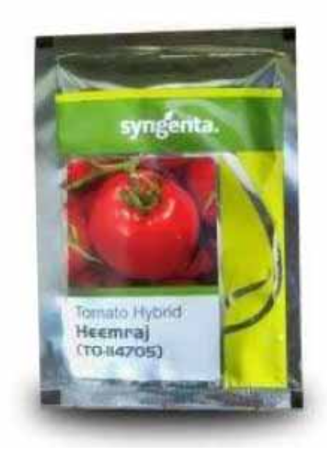 HEEMRAJ (TO-II4705) TOMATO