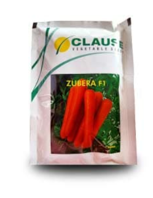 ZUBERA F1 CARROT