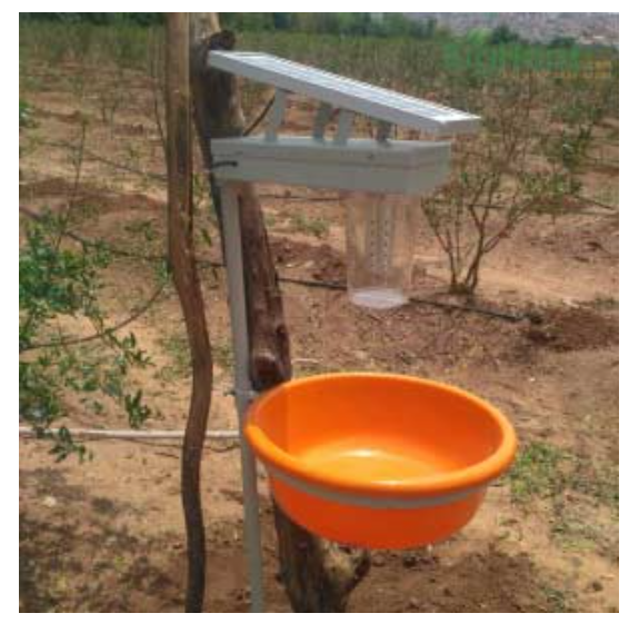 SOLAR TRAP