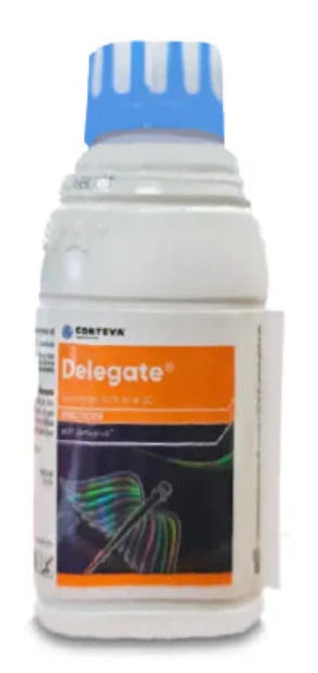 Delegate Insecticide