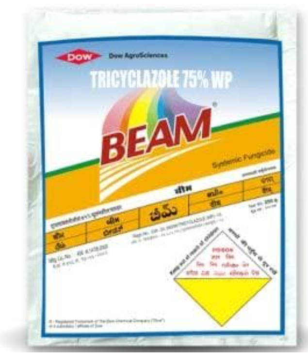 BEAM FUNGICIDE