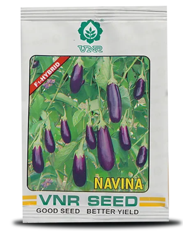 Navina F1 Hybrid Brinjal Seeds