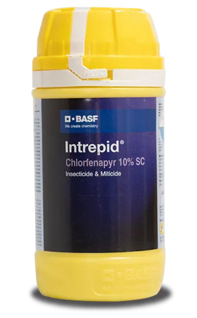 Intrepid Insecticide – Chlorfenapyr 10% SC for Pest Control in Chilli & Cabbage