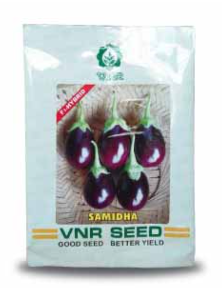 Samidha F1 Hybrid Brinjal Seeds