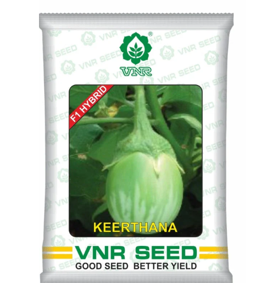 Keerthana F1 Hybrid Brinjal Seeds