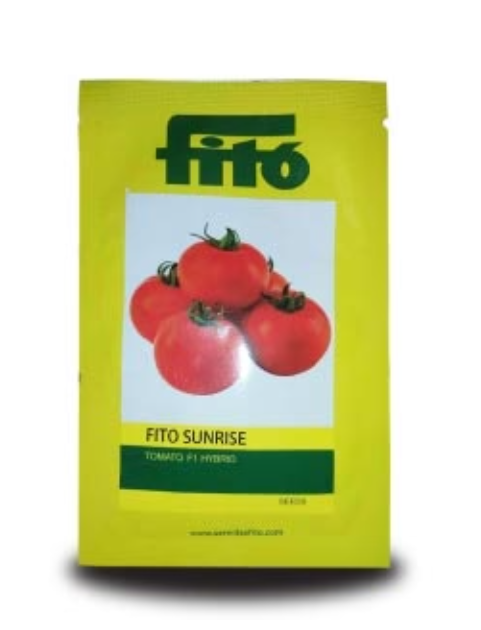 SUNRISE TOMATO