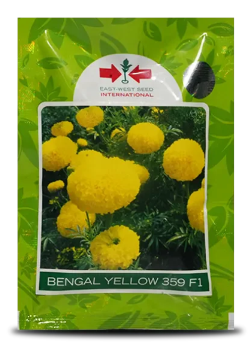 बंगाल येलो 359 F1 गेंदा