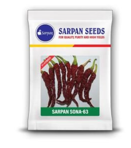 सारपान F1 – सोना 63 मिर्च