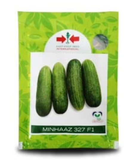 MINHAAZ F1 CUCUMBER