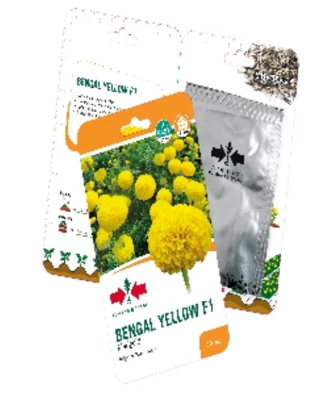 బెంగాల్ యెల్లో F1 గందెపు పువ్వు