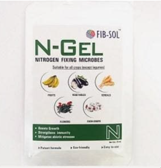 FIB SOL N-GEL - బయోయాక్టివ్: నైట్రోజన్ ఫిక్సింగ్ బాక్టీరియా