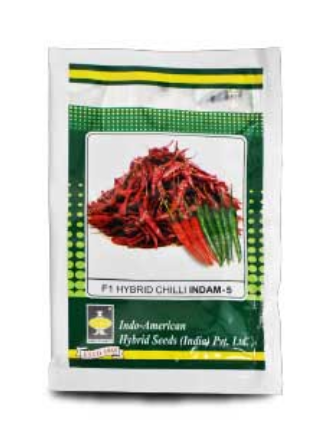 INDAM 5 CHILLI