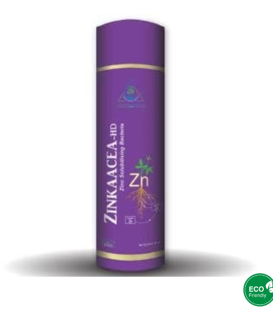 ZINKAACEA-HD (ZINC SOLUBILISING BACTERIAL BIO FERTILIZER)