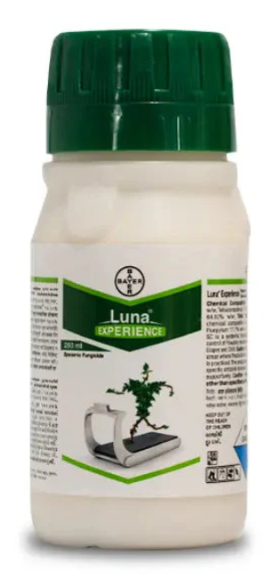 Luna Experience Fungicide – Broad-Spectrum Disease Control by Bayer