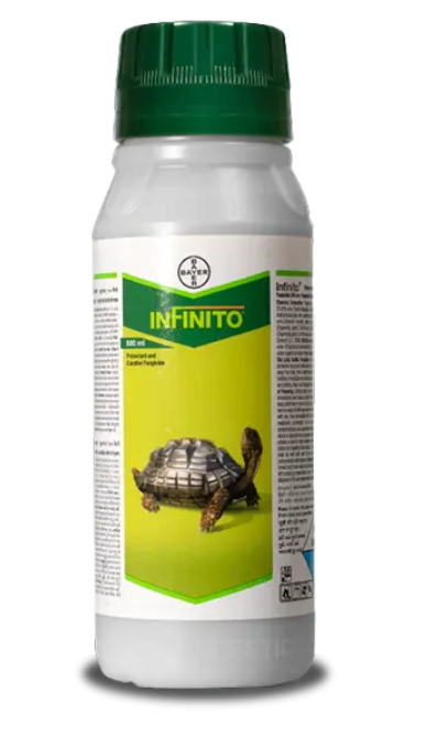 Infinito Fungicide - Fights Fungal Diseases, Controls Late Blight in Potatoes