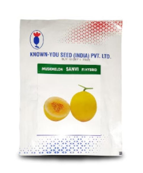 SANVI MUSKMELON