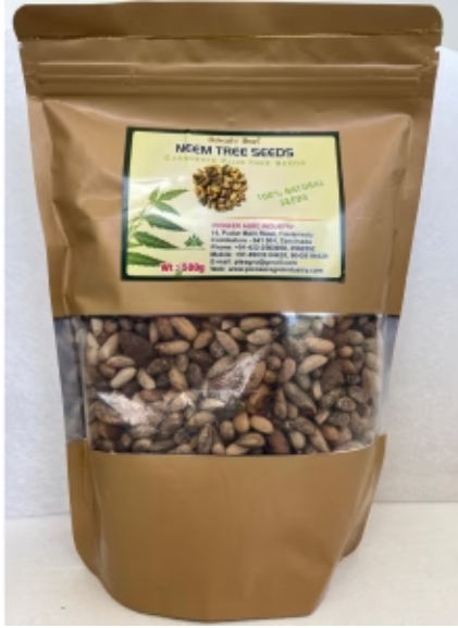 PIONEER AGRO NEEM TREE SEED (AZADIRACHTA INDICA) SEEDS
