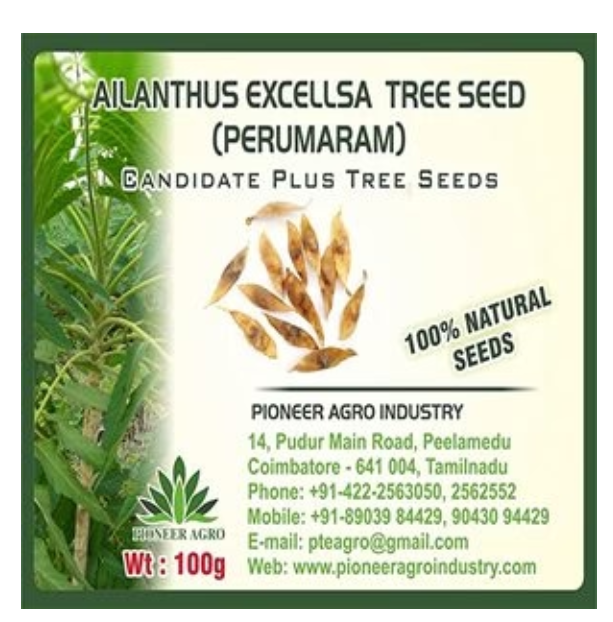 PIONEER AGRO AILANTHUS EXCELLSA (PERUMARAM) TREE SEED