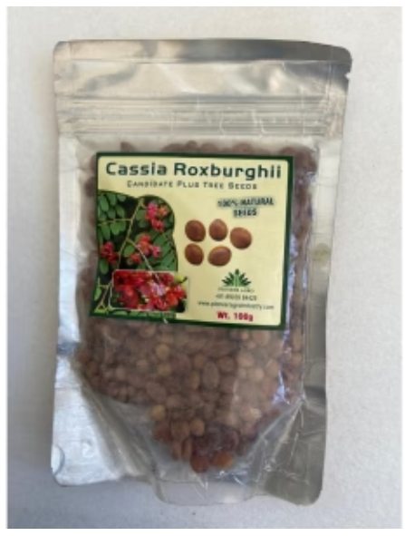 PIONEER AGRO CASSIA ROXBURGHII TREE (SEED)