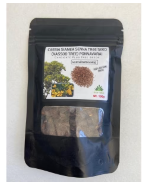 PIONEER AGRO CASSIA SIAMEA SENNA TREE (SEED)