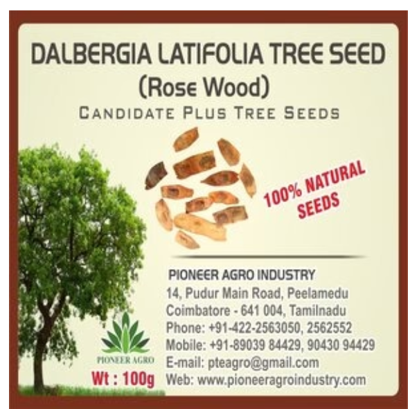 PIONEER AGRO DALBERGIA LATIFOLIA(ROSE WOOD) TREE SEED