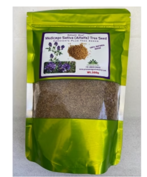 PIONEER AGRO MEDICAGO SATIVA(ALFALFA) KUTHIRAIMASAL SEED
