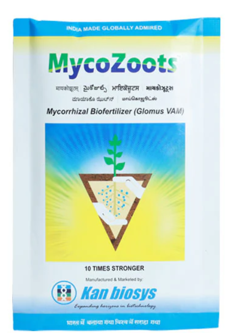 కాన్ బయోసిస్ మైకోజూట్స్ మైకోరైజల్ (జీవ ఎరువులు)