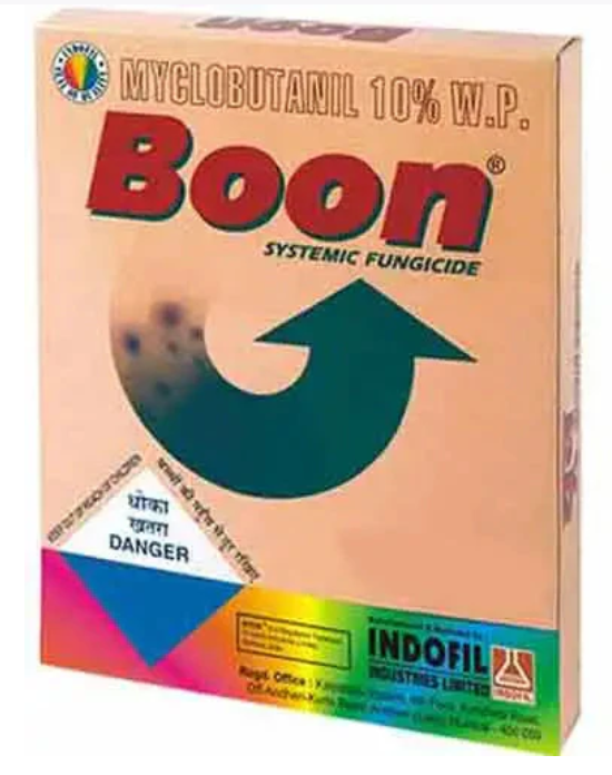 Boon Fungicide