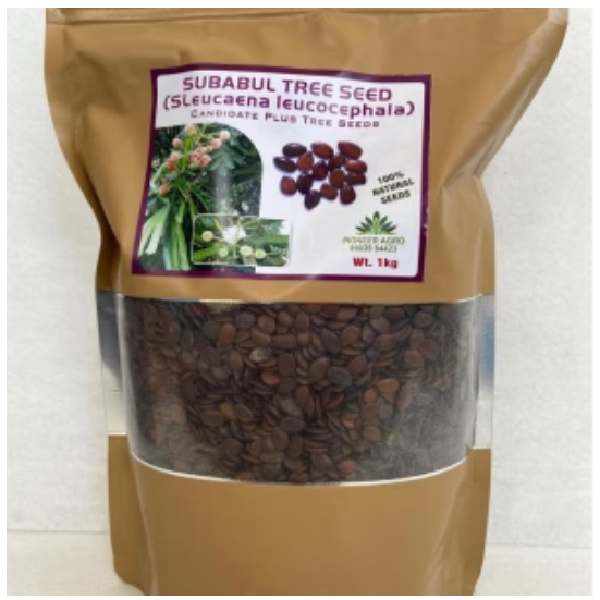 PIONEER AGRO SUBABUL TREE SEED (SLEUCAENA LEUCOCEPHALA)