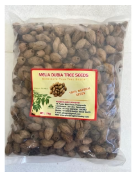 PIONEER AGRO MELIA DUBIA (MALAIVEMBU TREE SEED)