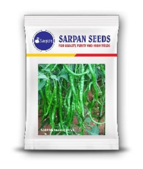 समर्पण महालक्ष्मी (दोहरी मिर्च - लाल और हरी)