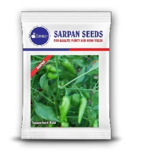 सारपान हार्टी गोल्ड – हरी मिर्च (बीज)