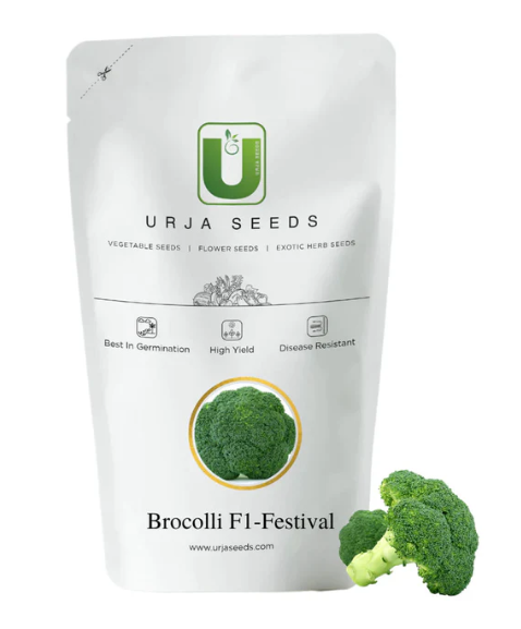 URJA F1 FESTIVAL BROCOLLI SEEDS