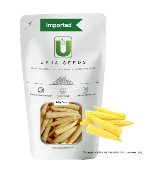 URJA - BABY CORN-ORION SEEDS