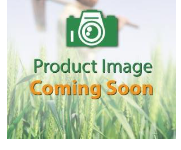 Rhymegent Insecticide