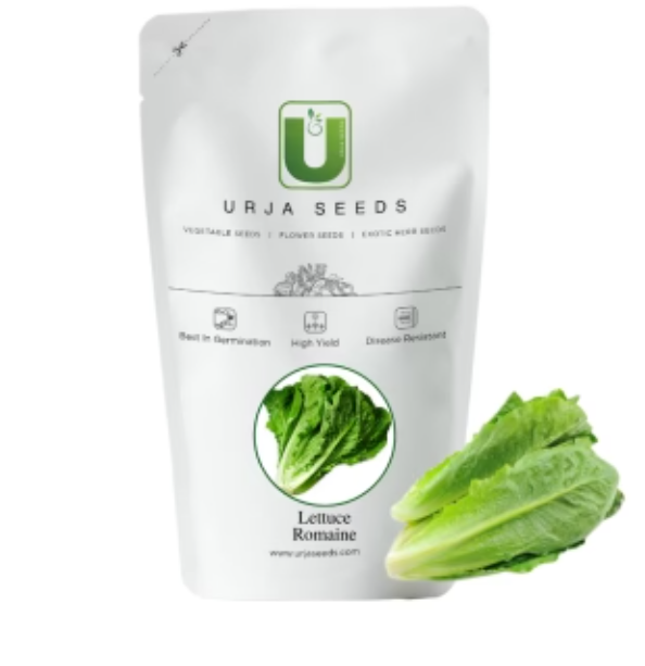 URJA ROMAIN LETTUCE SEEDS