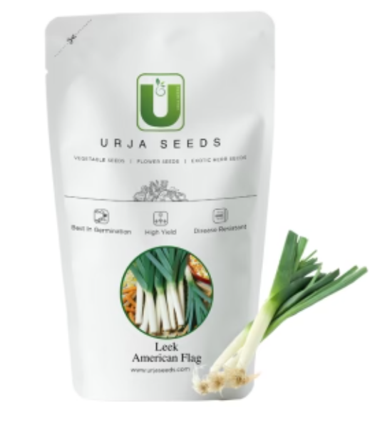 URJA AMERICAN FLAG - LEEK SEEDS