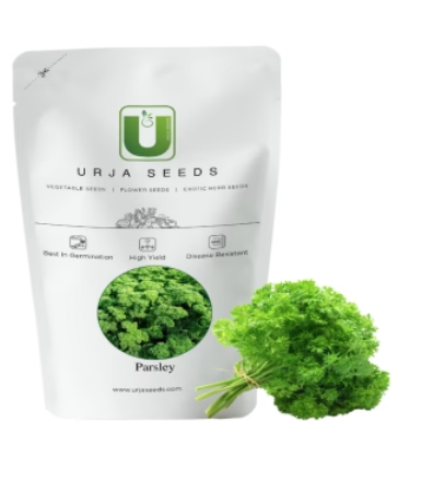 URJA PARSLEY SEEDS