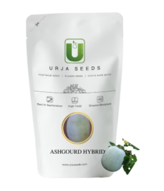 URJA US-102 - ASH GOURD F-1 HYBRID