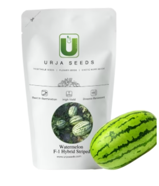 URJA US-777 - WATERMELON F-1 HYBRID SEEDS (INDIAN AND STRIPPED)
