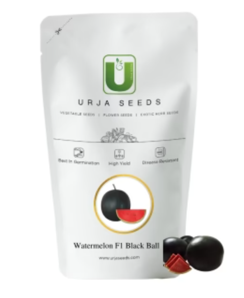 URJA US-888 - WATERMELON F-1 HYBRID SEEDS