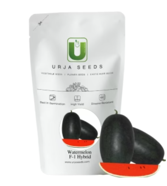 URJA US-20011 - WATERMELON F-1 HYBRID SEEDS (ICEBOX IMPORTED)