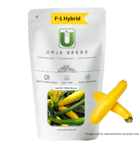 URJA YELLOW HYBRID - ZUCCHINI F-1 HYBRID SEEDS