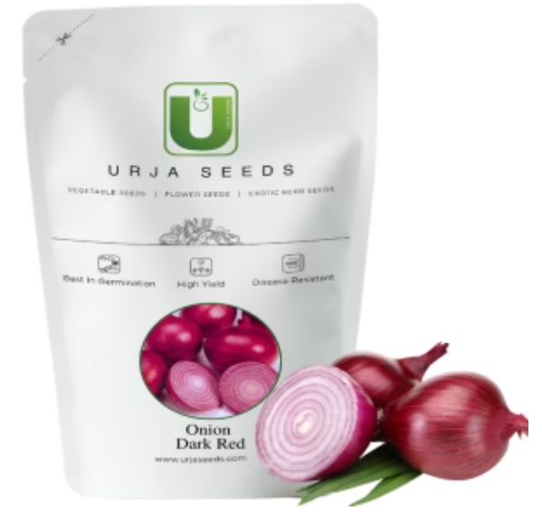 URJA RED CREOLE (IMP) ONION SEEDS