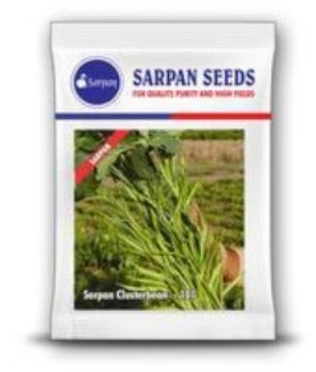 Sarpan 101 Cluster Beans Seeds – Erect Plants with Heavy Yield