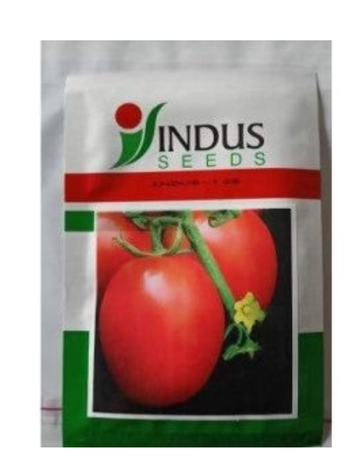 INDUS TOMATO 106 F1 HYBRID SEEDS